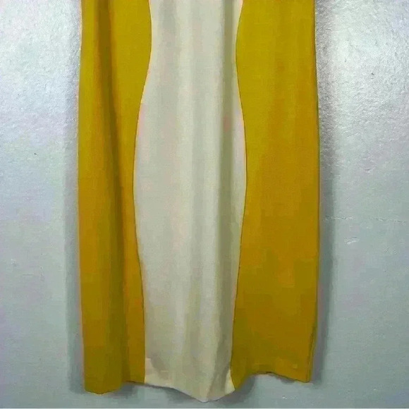 Piazza Sempione Color Block Shift Dress - Picture 6 of 10